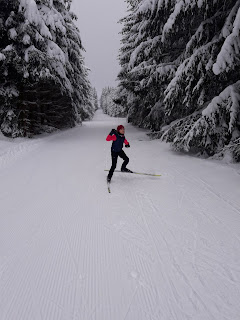 Langlauf Technik Training